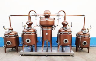 甘肅果梗分離器釀酒專用 山東一工釀酒設備