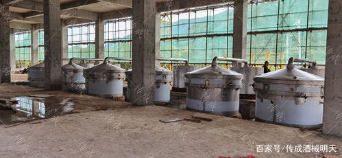 想要到傳成購買一套釀酒設備要多少錢