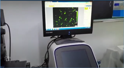 合曜生物 | 依托非模式生物自動(dòng)化改造平臺,聚焦高附加值產(chǎn)品,多款已達(dá)量產(chǎn)水平