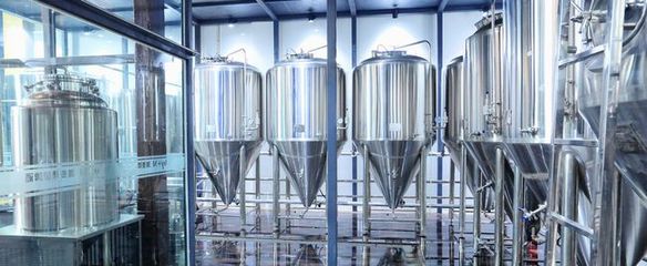 金鯊啤酒設備 匠心工藝賦能，共促釀酒行業共贏發展